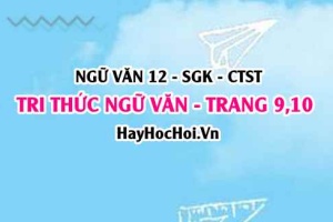 Soạn bài Tri thức ngữ văn trang 9, 10 Ngữ văn 12 Chân trời sáng tạo